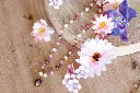 2K0A0612.webp
