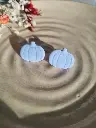 Mini pumpkin Light Blue