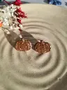 Mini pumpkin Fawn brown